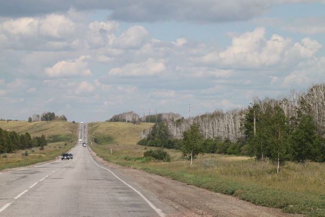 Birkenwälder säumen links und rechts die Straße