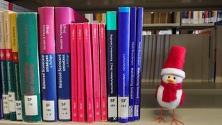 Deko Weihnachtsvogelfigur im Bibliotheksregal 