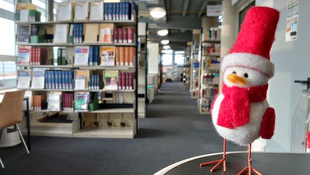 Deko Weihnachtsvogelfigur vor den Bibliotheksregalen