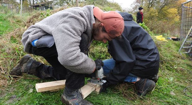 Zwei Studenten schneiden mit einer Stichsäge Holzbretter durch