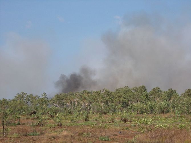 Buschfeuer bei Darwin