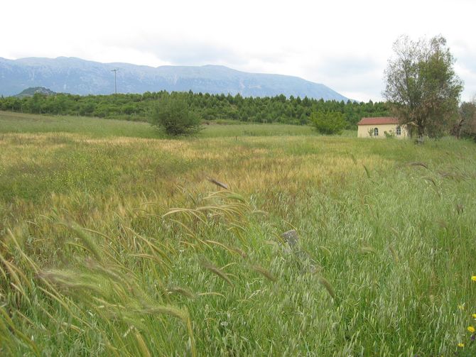 Berglandschaft bei Olympia