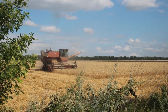 Mähdrescher bei der Ernte - Landwirtschaft ist ein wichtiger Wirtschaftszweig der Ukraine