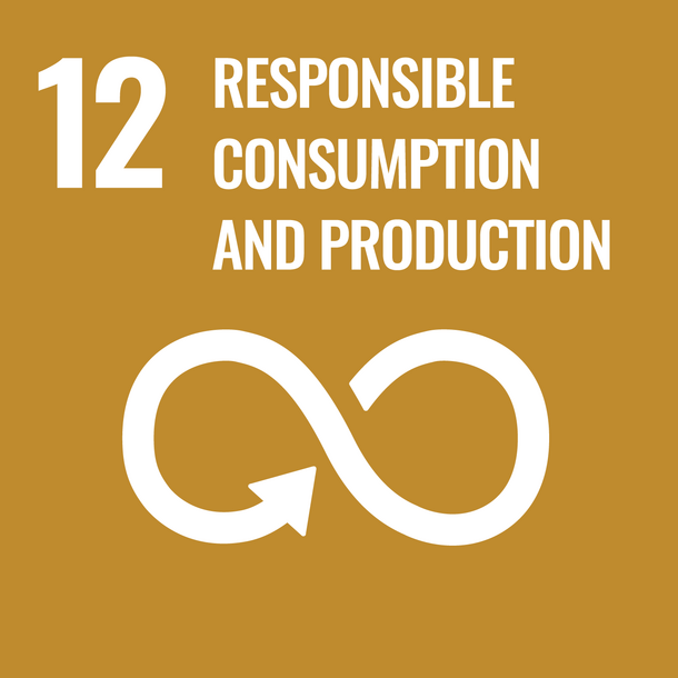 SDG 12: Ensure sustainable consumption and production patterns