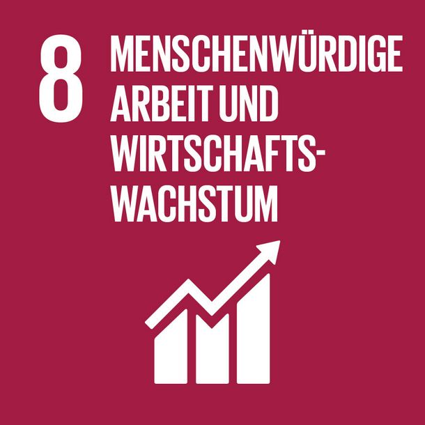 SDG Icon - Menschenwürdige Arbeit und Wirtschaftswachstum 